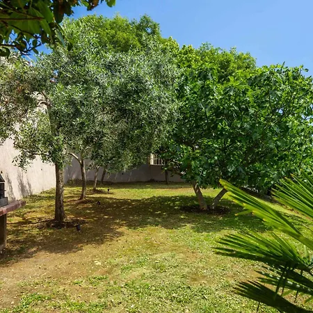 Apartment 11 Rabac